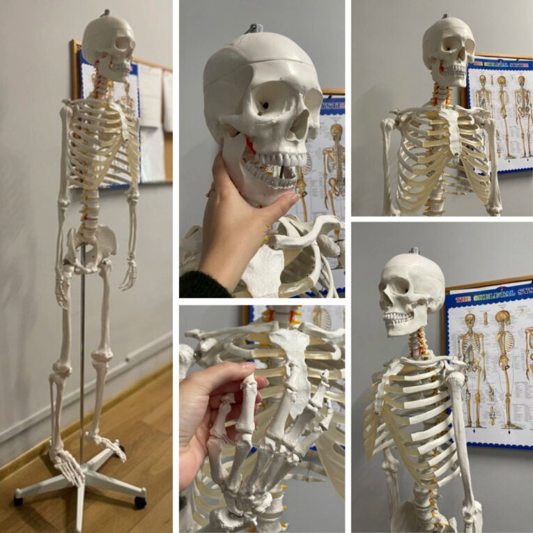 a29bc435e9e69d78543e5dab76158517.jpg