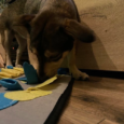 Килимок Smell for Dog Cat Розвиваюча іграшка для собак (для різноманітних ласощів) 50×70 PURLOV