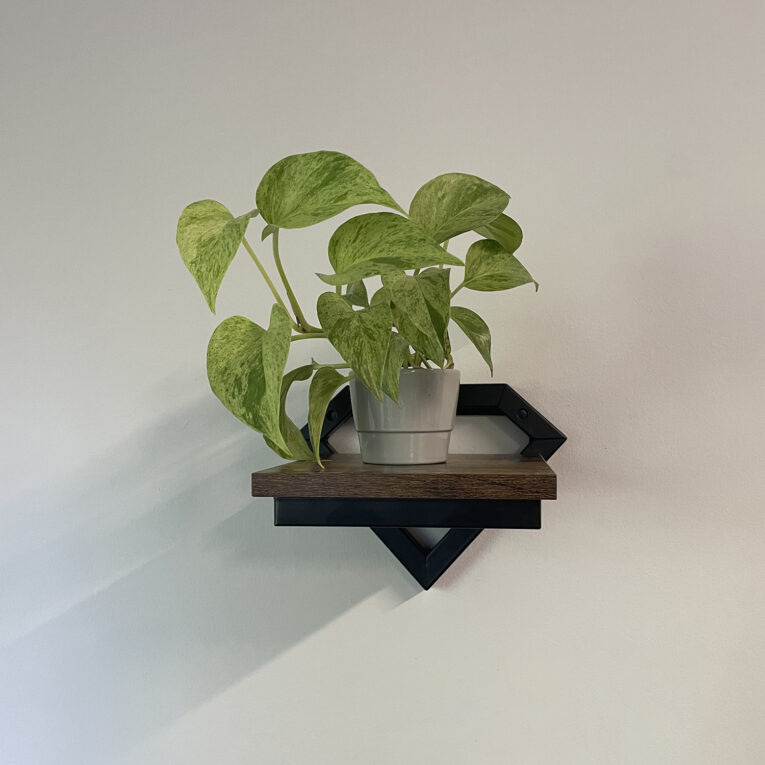 image00002 (3)