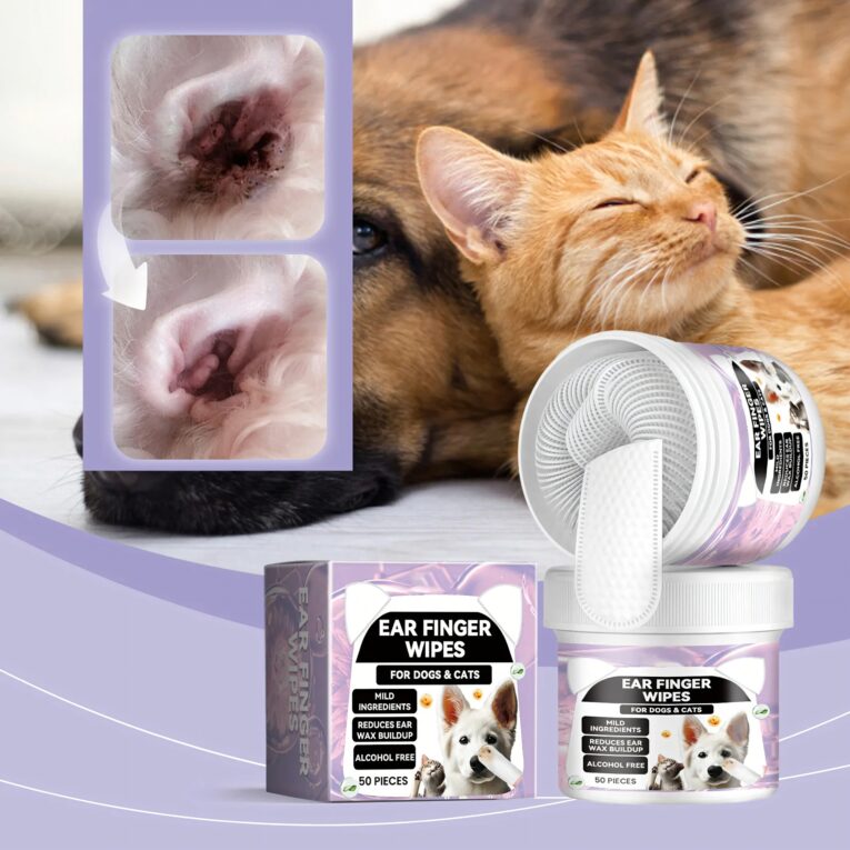 original_fd33f027cdbb87cce7ff025