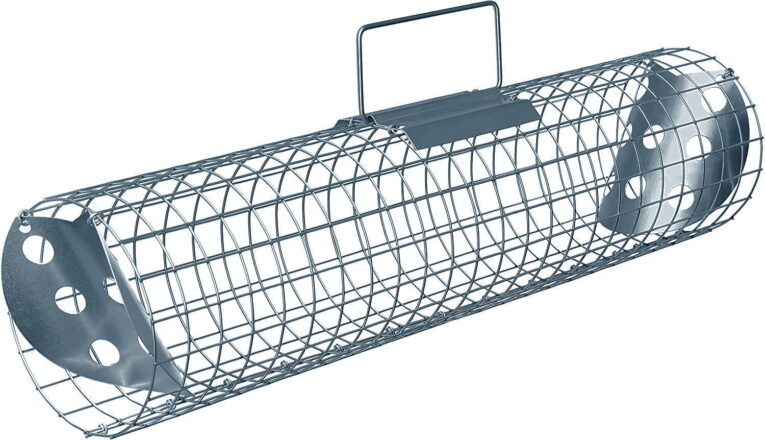 81szIkI9RFS._AC_SL1500_a