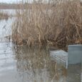 Посилена оцинкована Живоловка 80х34х34 см Zielonalapka, пастка на куниць, ласок, щурів та котів 1 вхід – Вироблено в Польщі